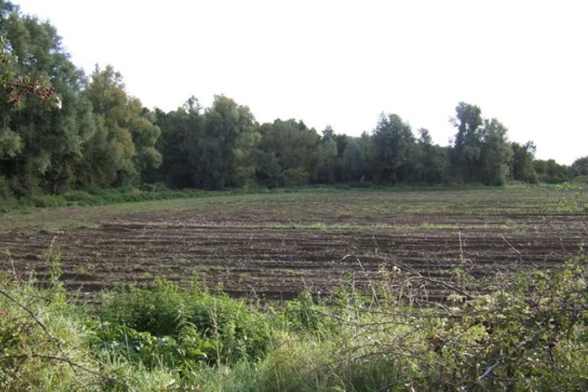 Φρέσκες πατάτες Boustras Farm
